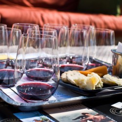 Wine Tasting 101: A Guided Tour of Wine Tasting