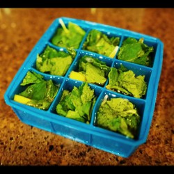 Lemon & Mint Ice Cubes