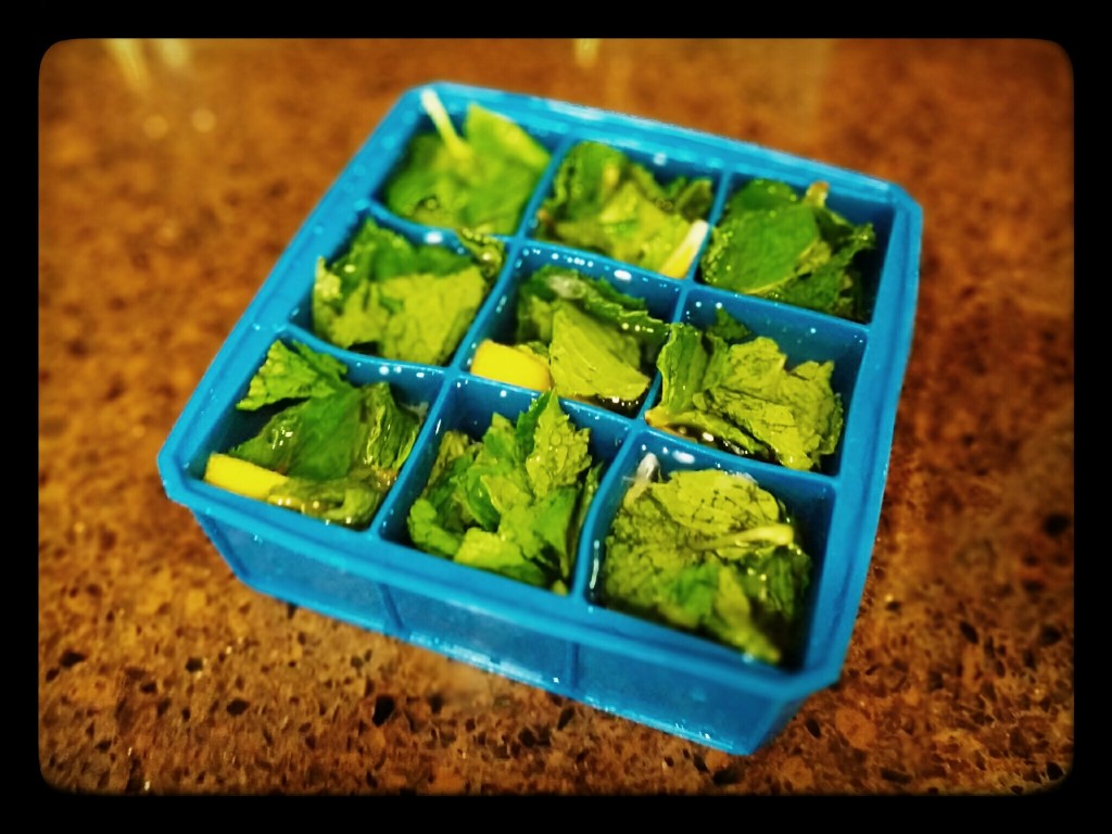 Lemon & Mint Ice Cubes - Decanteria